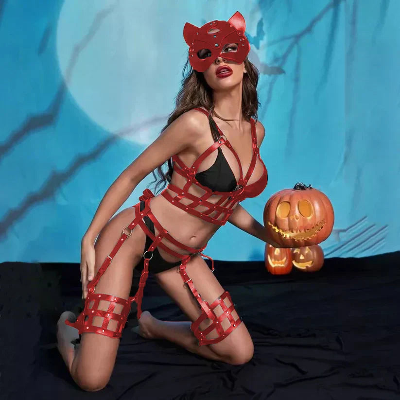 Premium Full Body Harness